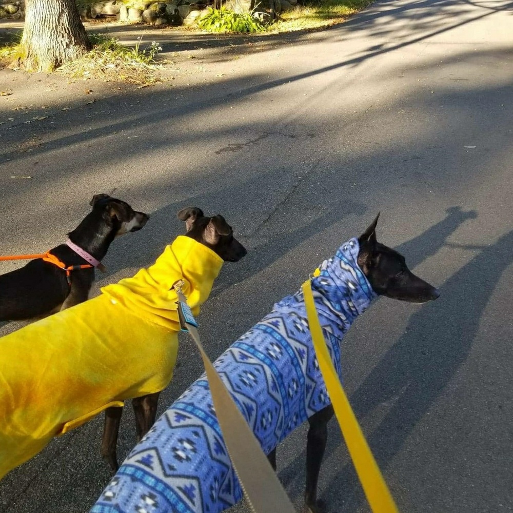 Meet your Posher, Ming